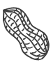 Peanut Vector