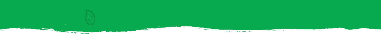Vector 1 Image
